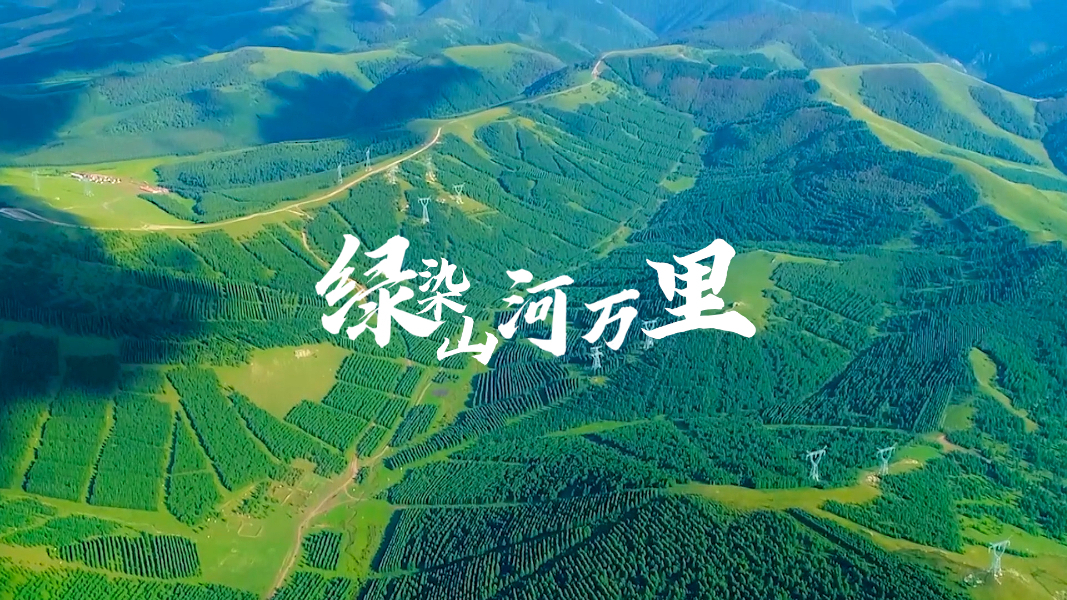 微視頻｜綠染山河萬里
