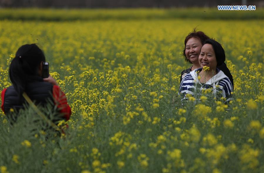 CHINA-SICHUAN-MIYI COUNTY-COLE FLOWERS (CN)