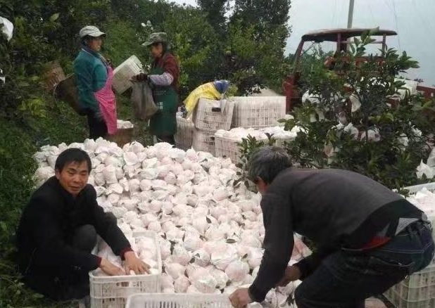 &ldquo;小眾&rdquo;旅游悄熱漓水人家