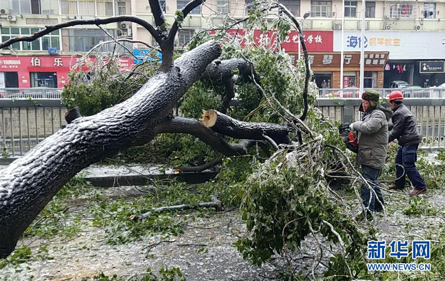 （新華全媒頭條）（7）雨雪冰凍中，他們奮力前行&mdash;&mdash;基層黨員干群抗擊冰雪災害紀實