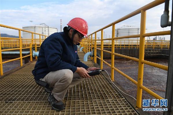 （在習近平新時代中國特色社會主義思想指引下&mdash;&mdash;新時代新氣象新作為&middot;圖文互動）（5）大工業(yè)與白海豚&ldquo;共存共榮&rdquo;&mdash;&mdash;廣西欽州港深化改革開放構(gòu)建綠色發(fā)展高地