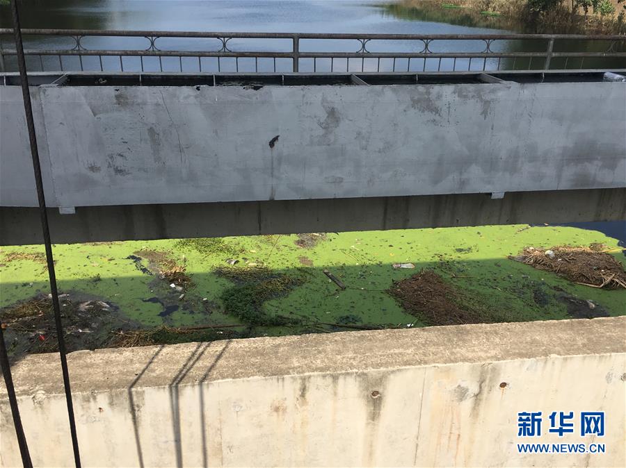 （新華視點(diǎn)&middot;圖文互動(dòng)）（2）上游洪水來襲下游魚蟹死亡，泄洪為何變泄污？