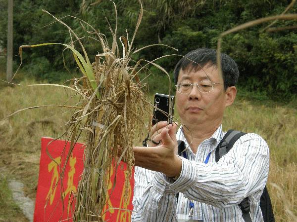 農民豐收節：農作物中的中華文化&ldquo;密碼&rdquo;