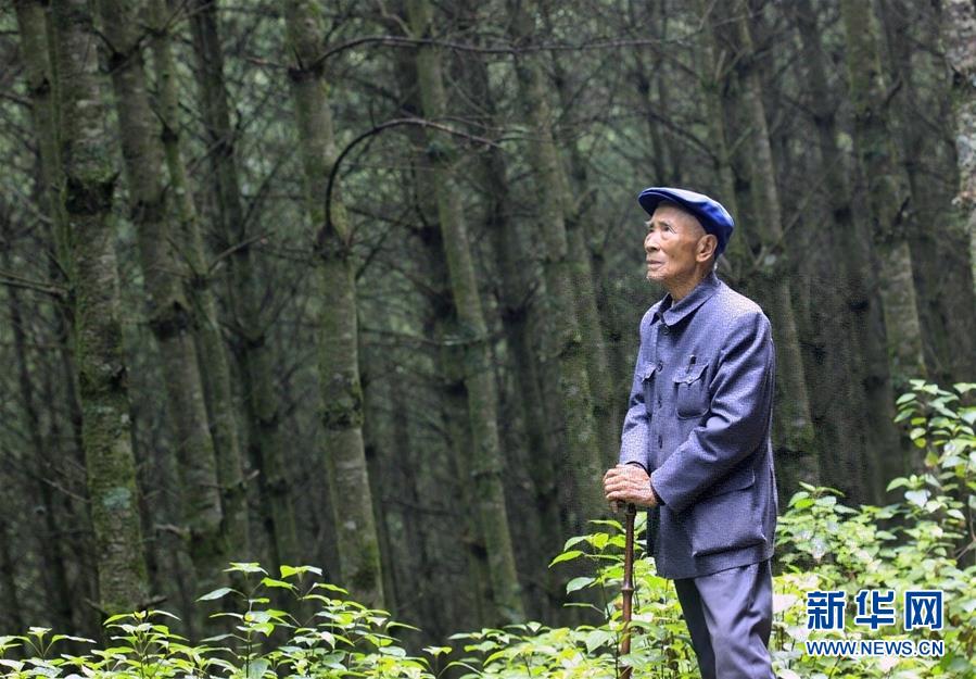 （改革先鋒風采&middot;圖文互動）（1）楊善洲：綠了荒山造福百姓的&ldquo;草鞋書記&rdquo;