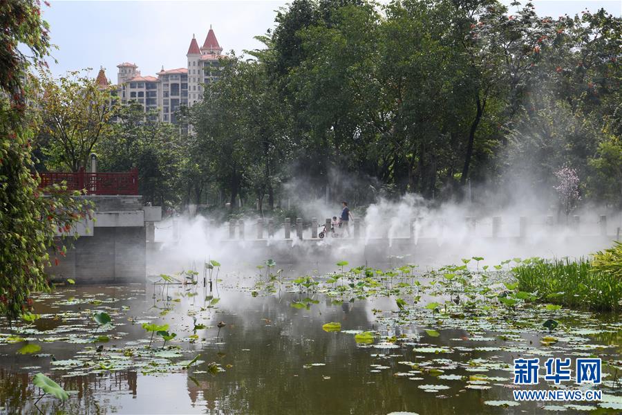 (在習近平新時代中國特色社會主義思想指引下——新時代新作為新篇章·圖文互動)(4)濕地就在城中央——珠三角重塑人與自然和諧共生圖景