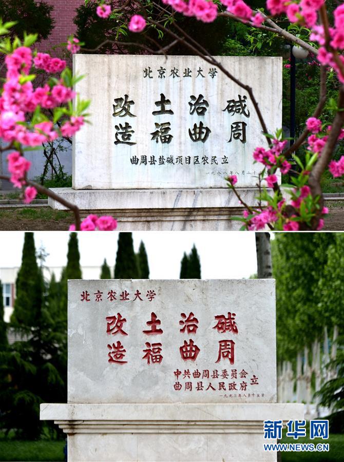 （新華全媒頭條&middot;愛國情 奮斗者&middot;圖文互動）（2）把論文寫在祖國的大地上&mdash;&mdash;中國農(nóng)業(yè)大學(xué)46年扎根河北曲周服務(wù)鄉(xiāng)村振興紀(jì)實(shí)
