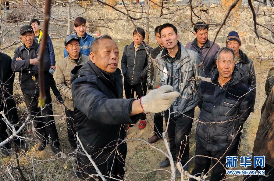 （新華全媒頭條&middot;圖文互動）（8）鍛造領航復興的中流砥柱&mdash;&mdash;寫在&ldquo;不忘初心、牢記使命&rdquo;主題教育即將啟動之際