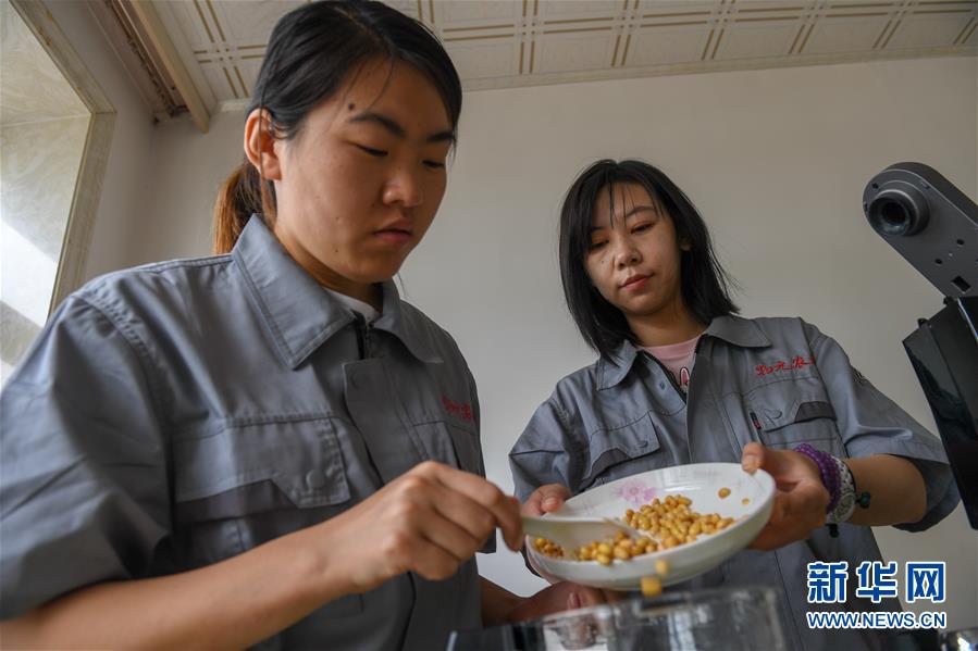 （在習近平新時代中國特色社會主義思想指引下&mdash;&mdash;新時代新作為新篇章&middot;圖文互動）（3）大學生種田讓農民&ldquo;老把式&rdquo;開了眼&mdash;&mdash;吉林長白山下的稻田新事