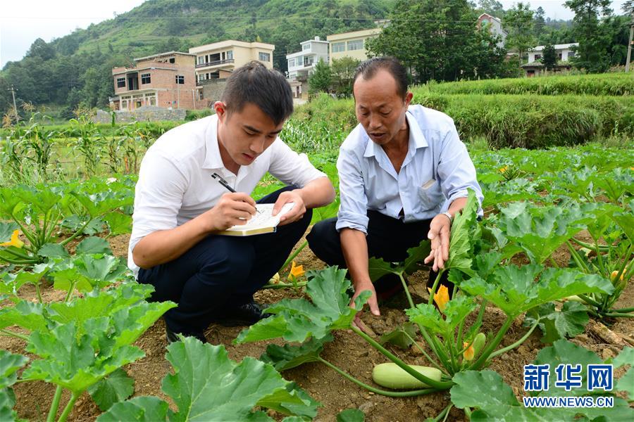 （新華全媒頭條&middot;圖文互動）（3）咱們村里的年輕人&mdash;&mdash;記奮戰(zhàn)在貴州脫貧攻堅一線的青年