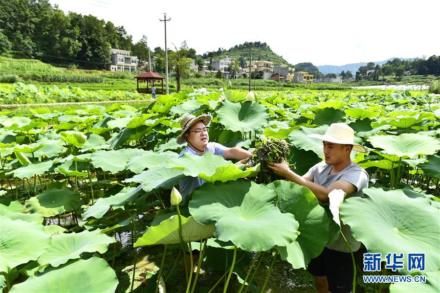 （新華全媒頭條&middot;圖文互動）（4）咱們村里的年輕人&mdash;&mdash;記奮戰(zhàn)在貴州脫貧攻堅一線的青年