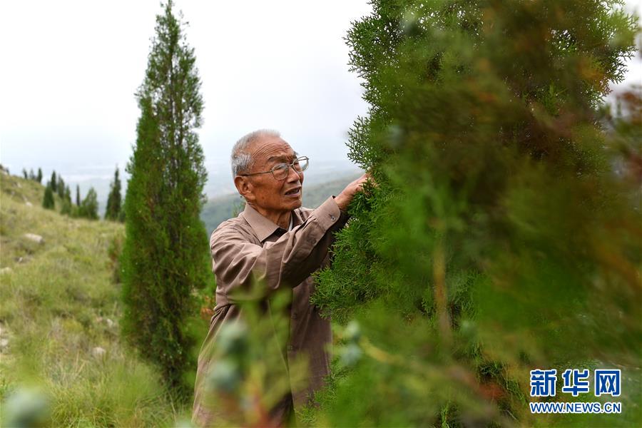 （在習近平新時代中國特色社會主義思想指引下&mdash;&mdash;新時代新作為新篇章&middot;圖文互動）（5）中條山下綠意濃&mdash;&mdash;一個&ldquo;資源窮縣&rdquo;的生態發展之路