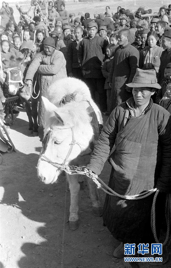 (壯麗70年·奮斗新時代——新中國崢嶸歲月·圖文互動)(3)廢除封建土地制度