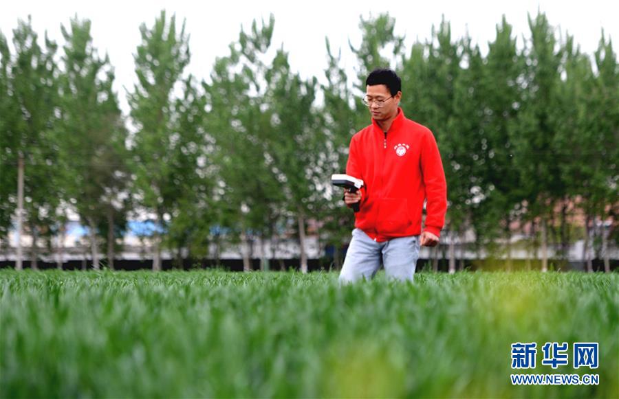 （在習(xí)近平新時(shí)代中國(guó)特色社會(huì)主義思想指引下&mdash;&mdash;新時(shí)代新作為新篇章&middot;總書記關(guān)心的百姓身邊事&middot;圖文互動(dòng)）（4）&ldquo;農(nóng)&rdquo;字頭照樣&ldquo;大&rdquo;作為&mdash;&mdash;豐收時(shí)節(jié)看涉農(nóng)高校人才在希望的田野