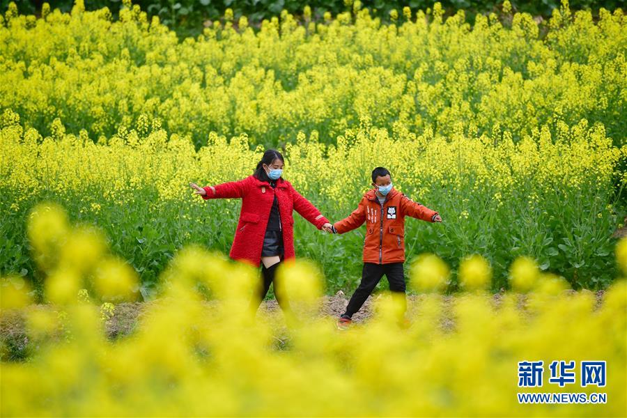 （決戰決勝脫貧攻堅&middot;圖文互動）（4）特寫：疫情下的一堂特殊送教上門課