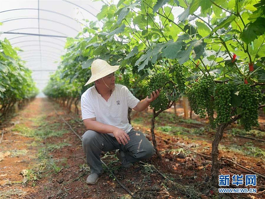 （新華全媒頭條&middot;圖文互動）（11）春色最濃在田間&mdash;&mdash;來自全國春耕備耕的現場觀察