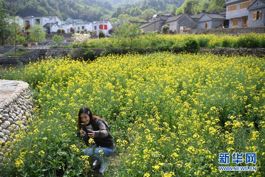 （新華全媒頭條&middot;圖文互動）（10）紅土地上的&ldquo;綠色減貧&rdquo;決戰&mdash;&mdash;大別山&ldquo;將軍縣&rdquo;金寨脫貧紀實