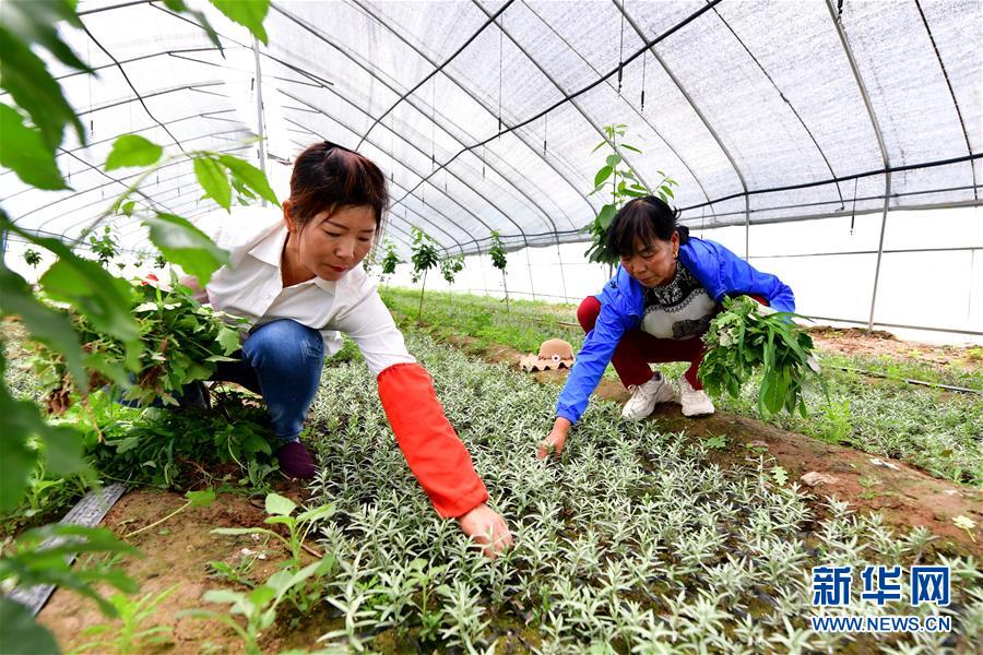 （新華全媒頭條&middot;圖文互動(dòng)）（5）呂梁新傳奇