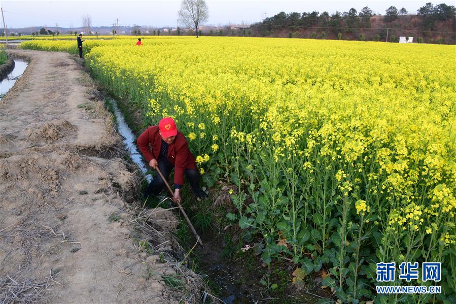 （決戰決勝脫貧攻堅&middot;圖文互動）（6）貧困戶老楊的人生&ldquo;三級跳&rdquo;