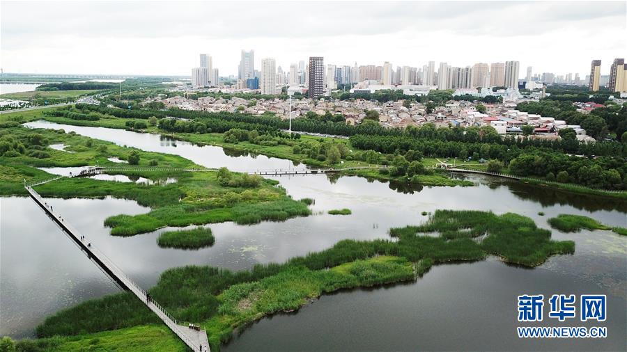 （走向我們的小康生活&middot;圖文互動）（2）水清、地綠、空氣新&mdash;&mdash;最北省份黑龍江繪就生態治理新畫卷