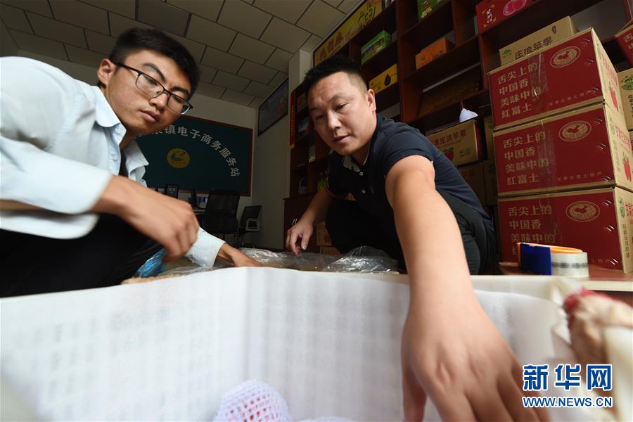  （走向我們的小康生活&middot;圖文互動）（3）在那碧綠的階梯上&mdash;&mdash;&ldquo;梯田之鄉&rdquo;甘肅莊浪縣的&ldquo;三級跳&rdquo;