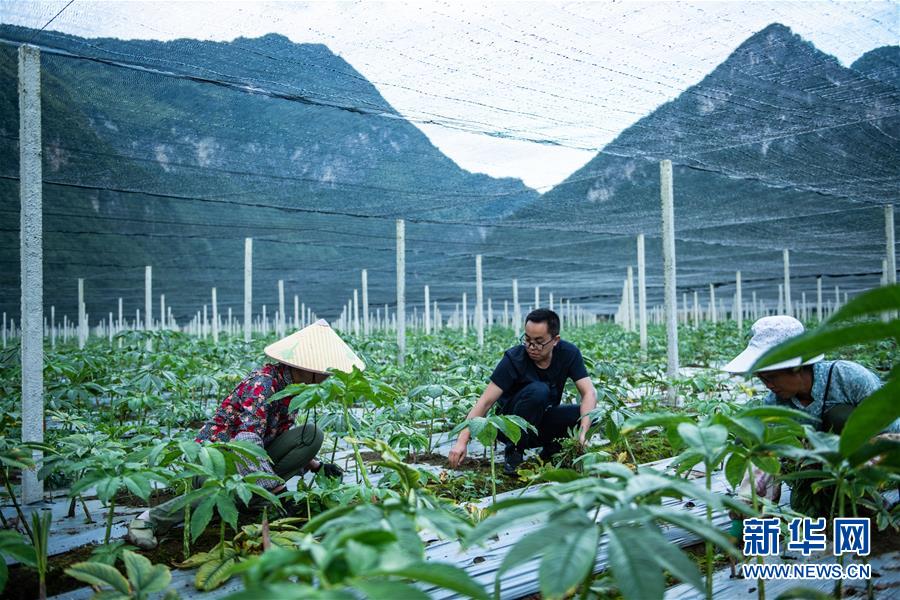 （新華全媒頭條&middot;決戰決勝脫貧攻堅&middot;督戰未摘帽貧困縣&middot;圖文互動）（10）把&ldquo;最能打的人&rdquo;放在最需要的地方&mdash;&mdash;聚焦貴州未脫貧縣里的&ldquo;助攻干部&rdquo;