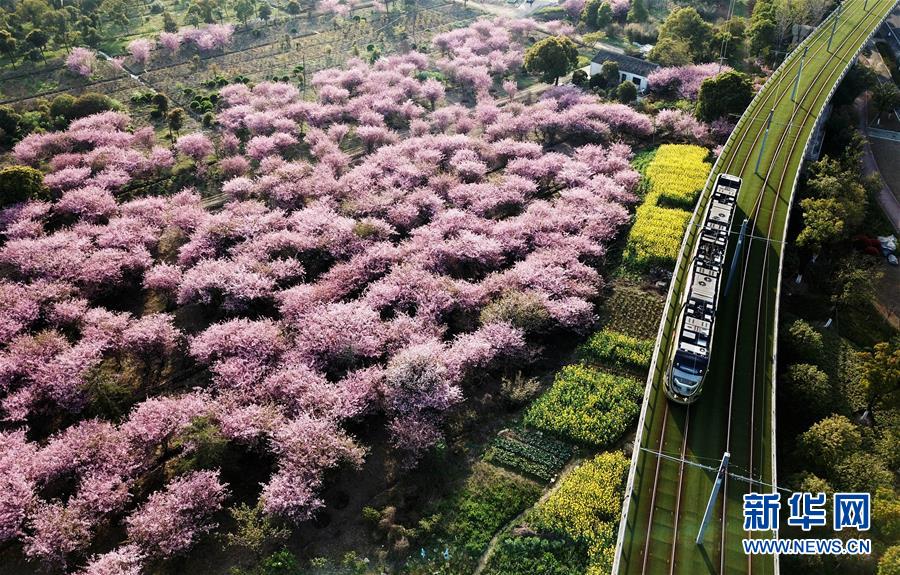 （新華全媒頭條&middot;圖文互動）（4）偉大旗幟引領歷史巨變&mdash;&mdash;習近平新時代中國特色社會主義思想指引&ldquo;十三五&rdquo;經濟社會發展述評