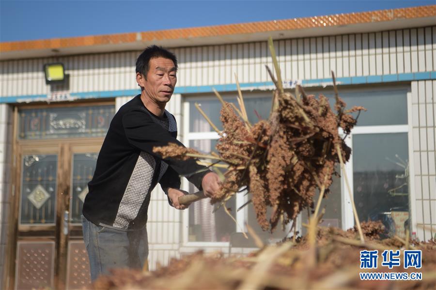 （全面建成小康社會&ldquo;百城千縣萬村&rdquo;調研行&middot;圖文互動）（1）互助互利，小甘薯帶來甜蜜日子&mdash;&mdash;內蒙古奈曼旗互利村闖出產業致富之路