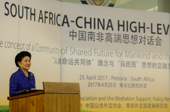劉延東出席中國南非高端思想對話會開幕式