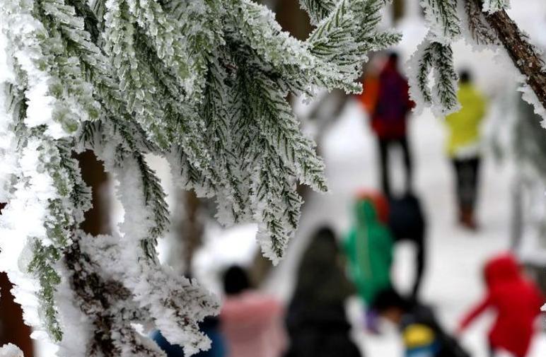張家界武陵源現(xiàn)冰雪峰林 游人享&ldquo;南國雪色&rdquo;