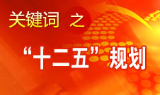 張平：&ldquo;十二五&rdquo;規劃實施的總體情況是好的
