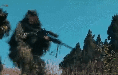 突入，擊斃！直擊武警特戰反劫持演練！