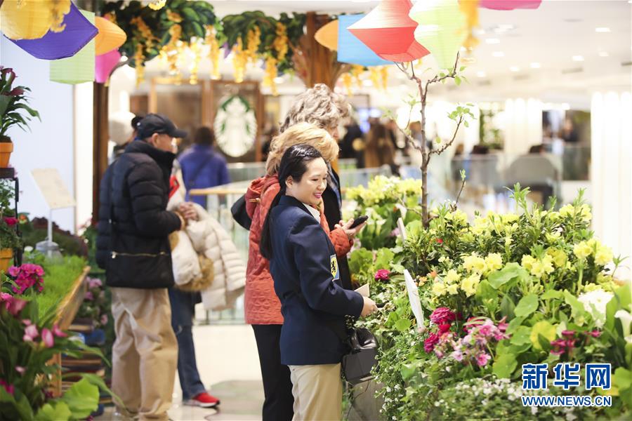 （國際）（6）紐約：&ldquo;春日童話&rdquo;花展亮相梅西百貨